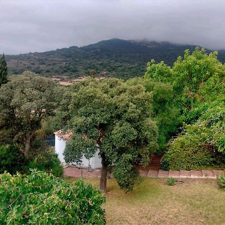 Finca El Campo 阿尔赫西拉斯 外观 照片