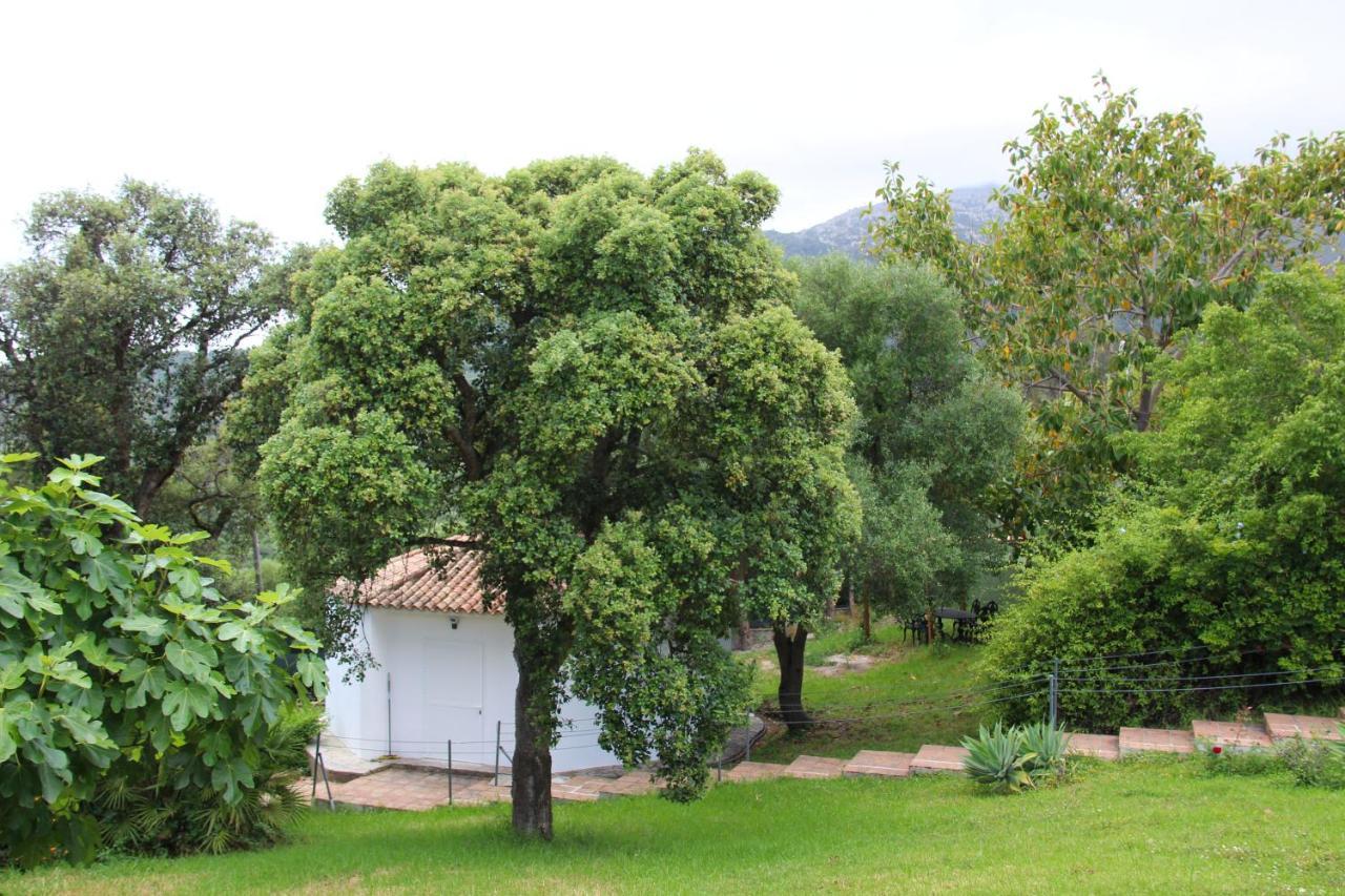 Finca El Campo 阿尔赫西拉斯 外观 照片