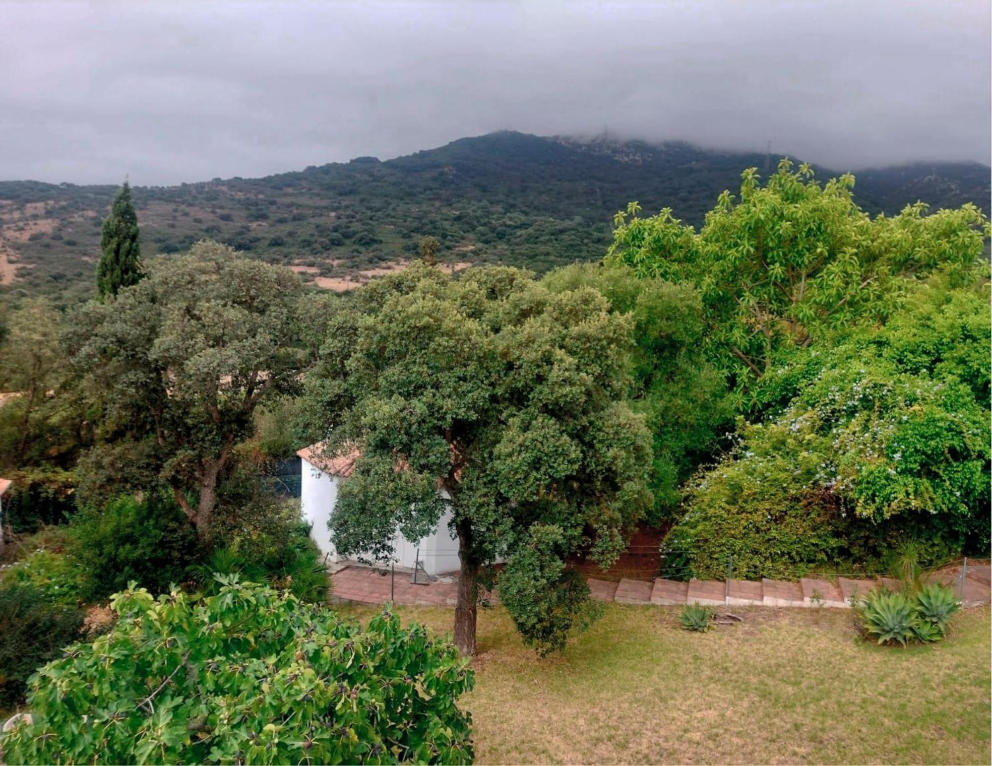 Finca El Campo 阿尔赫西拉斯 外观 照片